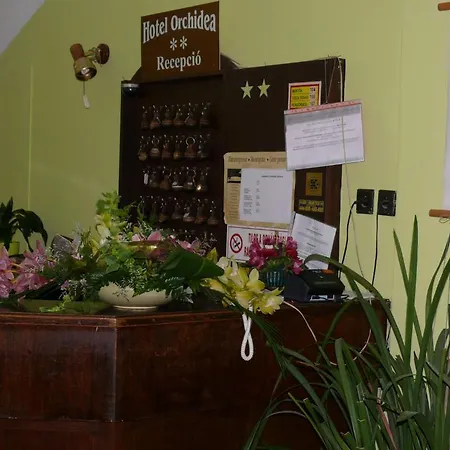 Hotell Orchidea 2*