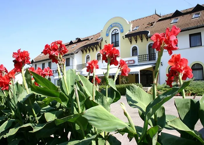 Hotel Orchidea 2*
