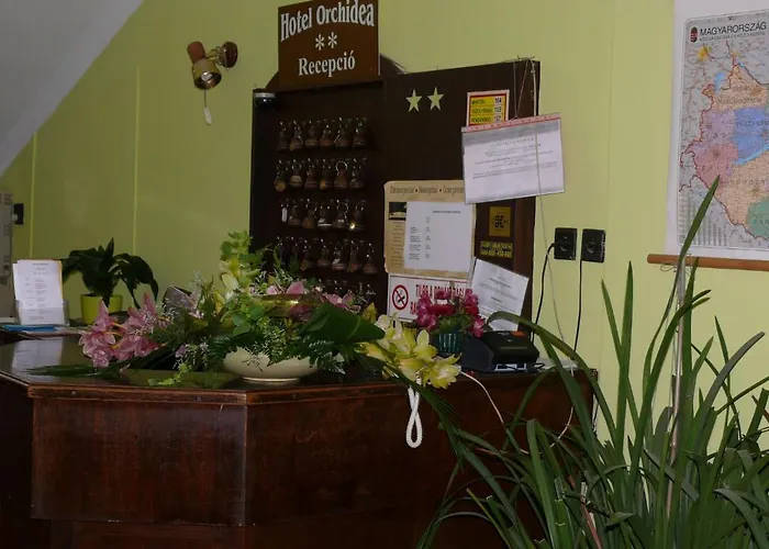 Hotel Orchidea 2*